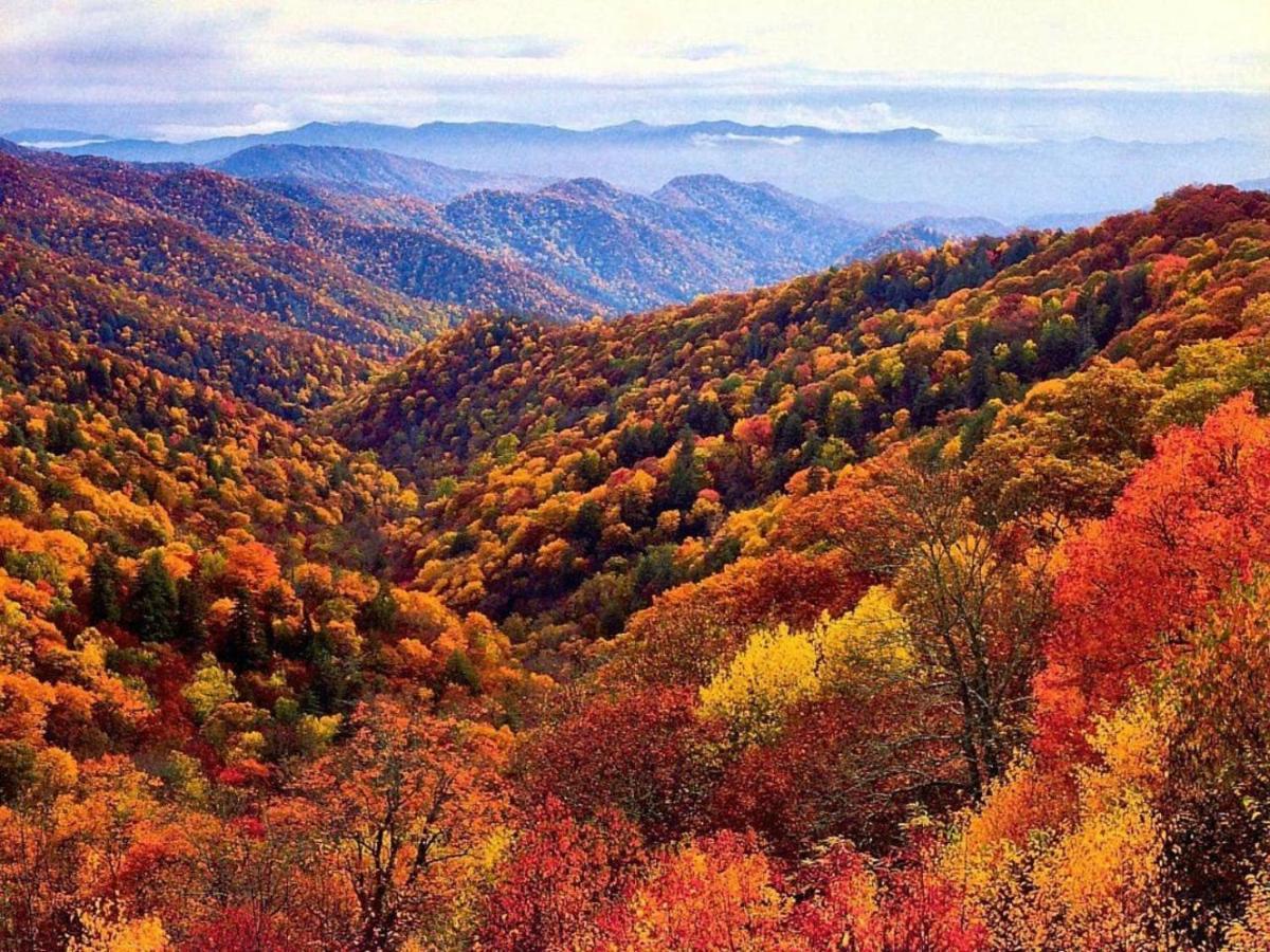 Wow Views!!-Mountain Escape-Outdoor Pool-Close To Downtown-Wifi-Cable-Private Balcony Gatlinburg Extérieur photo